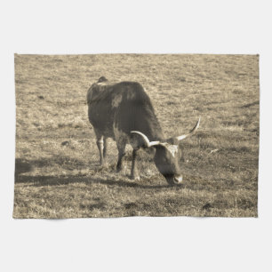 Texas Longhorn Cattle Cow Foto Rustic Theedoek
