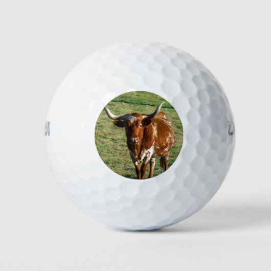 Texas Longhorn Cattle Koe Foto Rustic Golfballen (Voorkant)