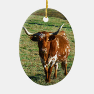 Texas Longhorn Cattle Koe Foto Rustic Keramisch Ornament