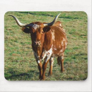 Texas Longhorn Cattle Koe Foto Rustic Muismat