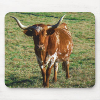 Texas Longhorn Cattle Koe Foto Rustic Muismat