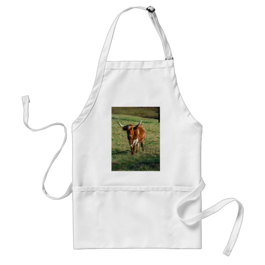 Texas Longhorn Cattle Koe Foto Rustic Standaard Schort (Voorkant)