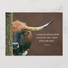 Texas Longhorn Koe Briefkaart - Eenvoudig geperson
