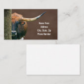Texas Longhorn Koe Visitekaartjes (Voorkant / Achterkant)