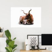 Texas Longhorn Poster Print (Thuiskantoor)