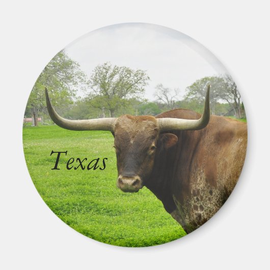 Texas Longhorn ronde magneet (Voorkant)
