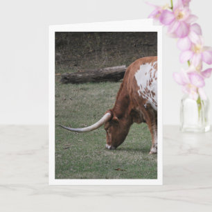 Texas Longhorn Runderen Kaart