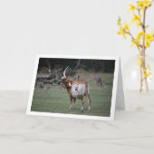 Texas Longhorn-rundvee Kaart (Gele Bloem)
