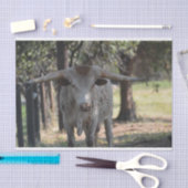 Texas Longhorn Tissue Paper Tissuepapier (Craft)