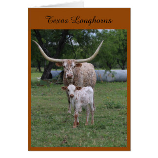 Texas Longhorns