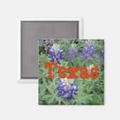 Texas Magnet (Recto/Verso)