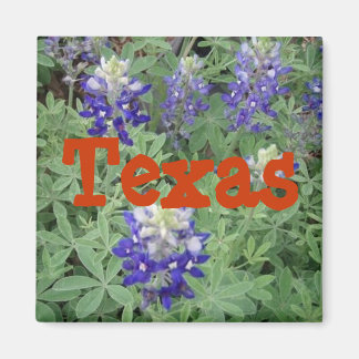 Texas Magnet Magneet