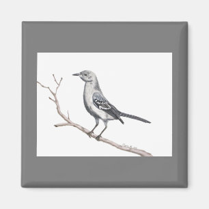 Texas Mockingbird Magnet Magneet