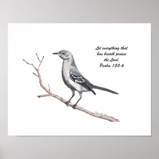 Texas Mockingbird Print (Voorkant)