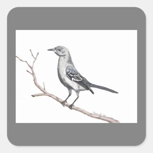 Texas Mockingbird Sticker (Voorkant)
