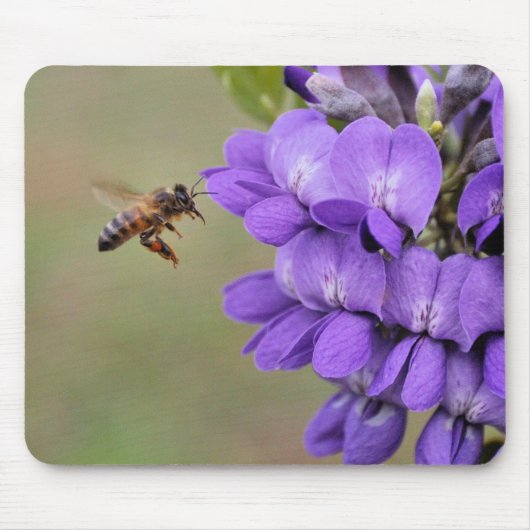 Texas Mountain Laurel Bee in Flight Muismat (Voorkant)