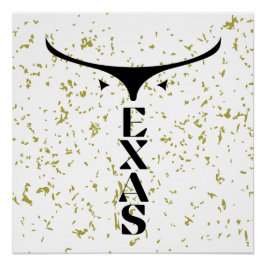 TEXAS PERFECT POSTER