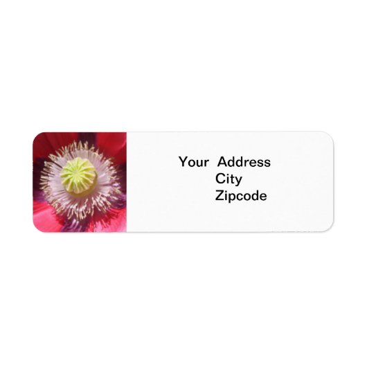 Texas Pink Skullcap Adres label (Voorkant)