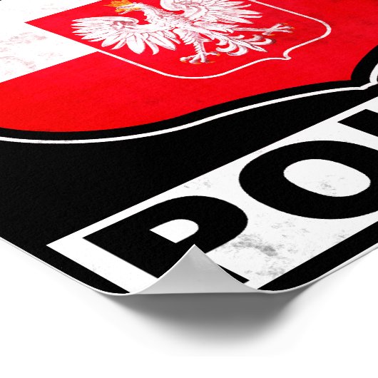 Texas, Pools Poster (Hoek)