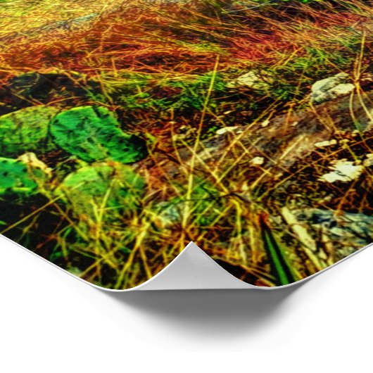 Texas  poster (Hoek)