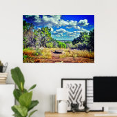 Texas  poster (Thuiskantoor)