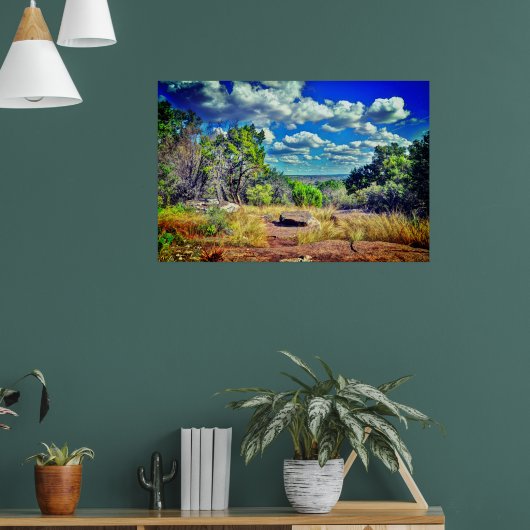 Texas  poster (Woonkamer 1)