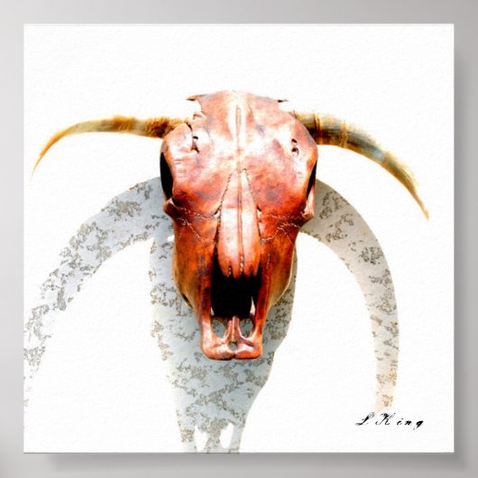 Texas Poster (Voorkant)