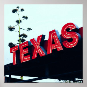 Texas Red Neon Lights Verenigde Staten Poster