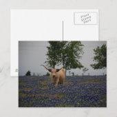 Texas Royalty Briefkaart (Voorkant / Achterkant)