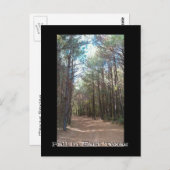 Texas Series Briefkaart (Voorkant / Achterkant)