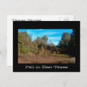 Texas Series Briefkaart (Voorkant / Achterkant)