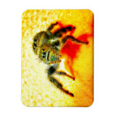 Texas springspin magneet (Verticaal)