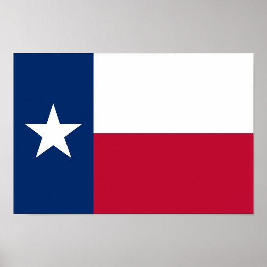 Texas Staatsvlag Poster (Voorkant)