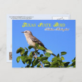 Texas State Bird - Northern Mockingbird Briefkaart (Voorkant / Achterkant)