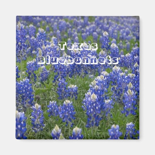 Texas State Bloem Bluebonnets Magnet Magneet (Voorkant)