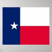 Texas State Flag Design Poster (Voorkant)