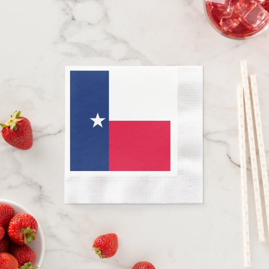Texas State Flag Design Servet (Insitu)