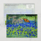 Texas State Flower - Bluebonnets Briefkaart (Voorkant / Achterkant)