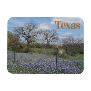 Texas State Flower Bluebonnets Magneet