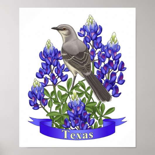 Texas State Mockingbird & Bluebonnet Flower Poster (Voorkant)