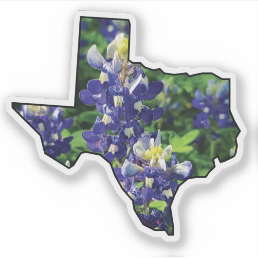 Texas State Outline met Bluebonnets Sticker (Voorkant)