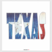 Texas state sticker (Vel)