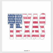 Texas state sticker (Vel)