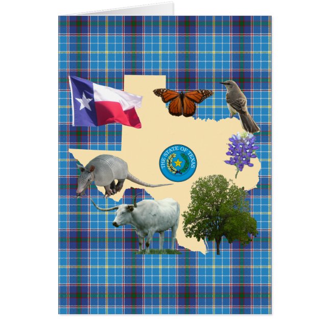 Texas State Symbols (Voorkant)