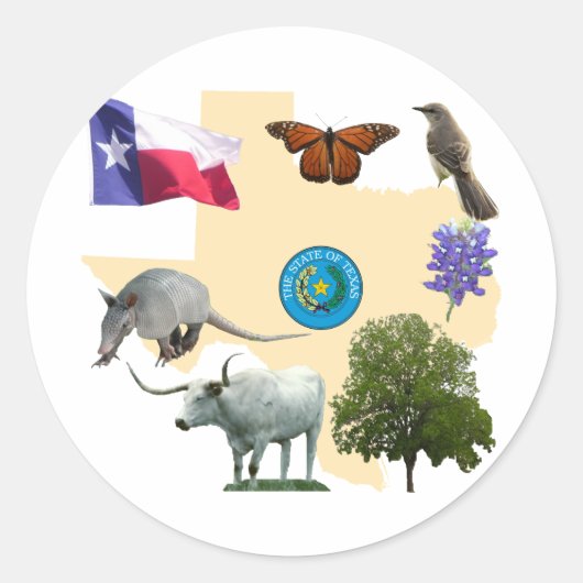 Texas State Symbols Ronde Sticker (Voorkant)