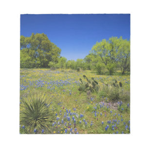 Texas, Texas Hill Country, Lage blaaskruid, Notitieblok