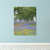 Texas, Texas Hill Country, Texas Paintborstel en Canvas Afdruk (Insitu (Houten vloer))
