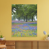 Texas, Texas Hill Country, Texas Paintborstel en Canvas Afdruk (Insitu (Woonkamer))