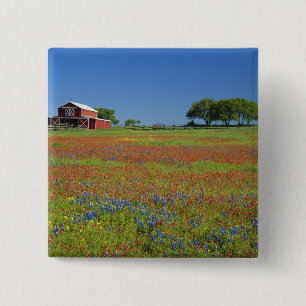 Texas, Texas Hill Country, Texas Penseel Vierkante Button 5,1 Cm
