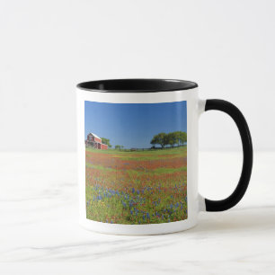 Texas, Texas Hill Country, Texas verfkwast Mok